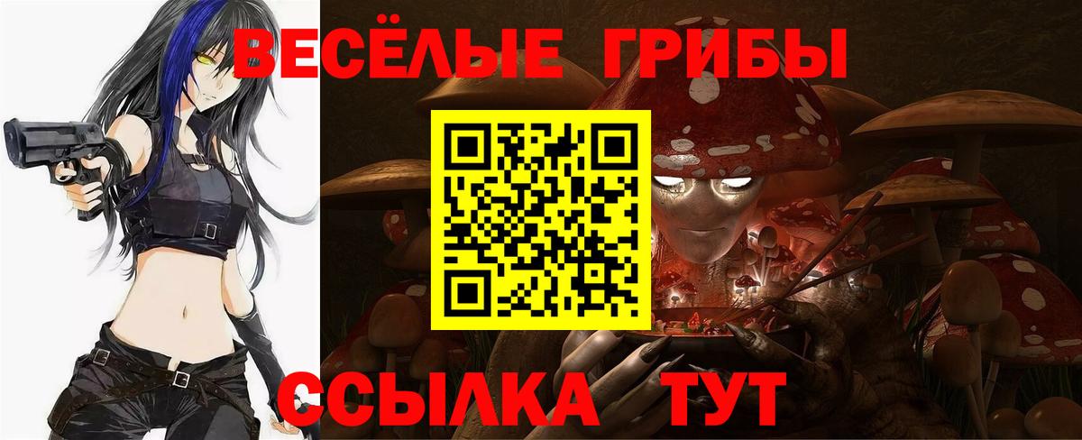 как найти закладки  Псилоцибиновые грибы Psilocybine cubensis  Вход с VPN  Верхний Уфалей 