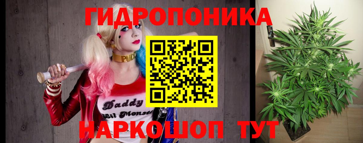 Каннабис гибрид  Шишки марихуана OG Kush  Шишки марихуана конопля  Вход с VPN  Верхний Уфалей 
